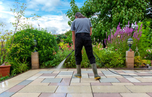 Best Winterizing Services  in Terryville, NY